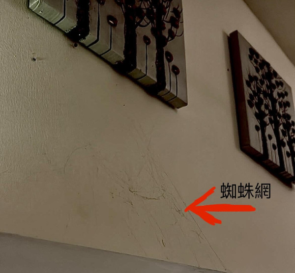 網民報盲盒旅行團呻中伏 豪花萬五慘變軍訓團 導遊惡劣酒店貨不對辦 