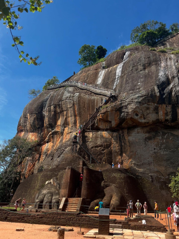 網民報盲盒旅行團呻中伏 豪花萬五慘變軍訓團 導遊惡劣酒店貨不對辦 