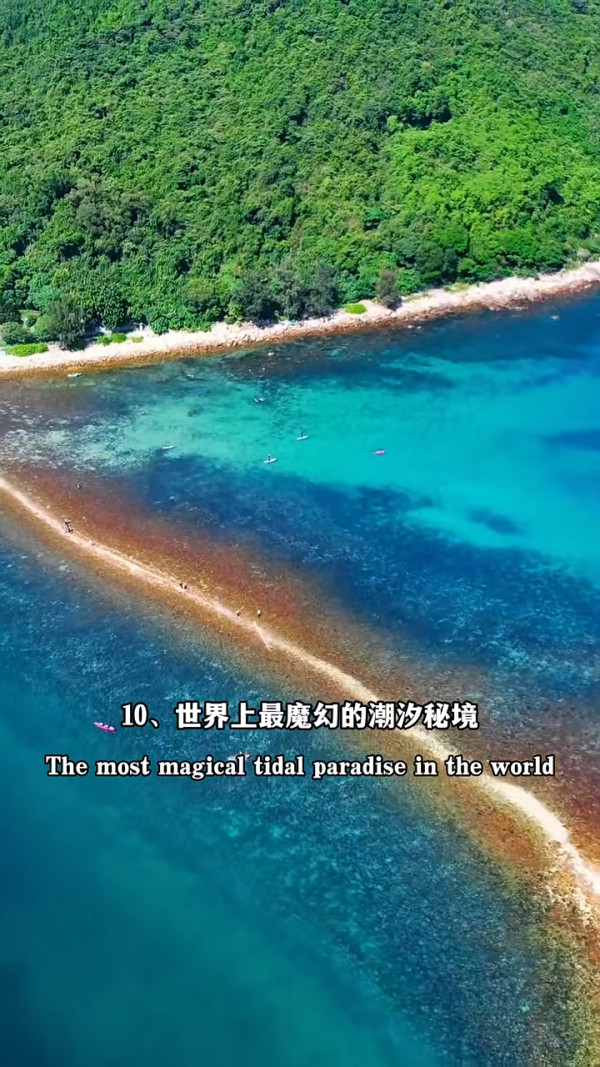 香港潛水勝地5大浮潛天堂推薦！離島珊瑚海／地質公園 附交通方法