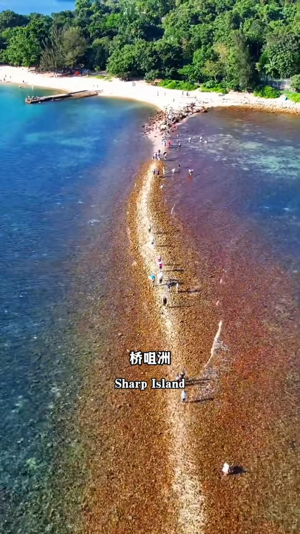 香港潛水勝地5大浮潛天堂推薦！離島珊瑚海／地質公園 附交通方法