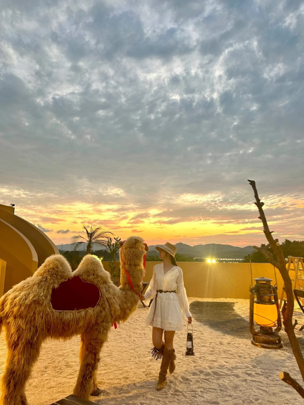 深圳打卡Cafe|漠上花開天台沙漠綠洲!駱駝/仙人掌打卡位營造摩洛哥異域風 套餐含服飾租借