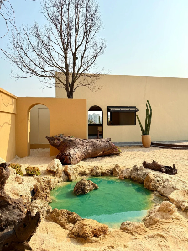 深圳打卡Cafe|漠上花開天台沙漠綠洲!駱駝/仙人掌打卡位營造摩洛哥異域風 套餐含服飾租借