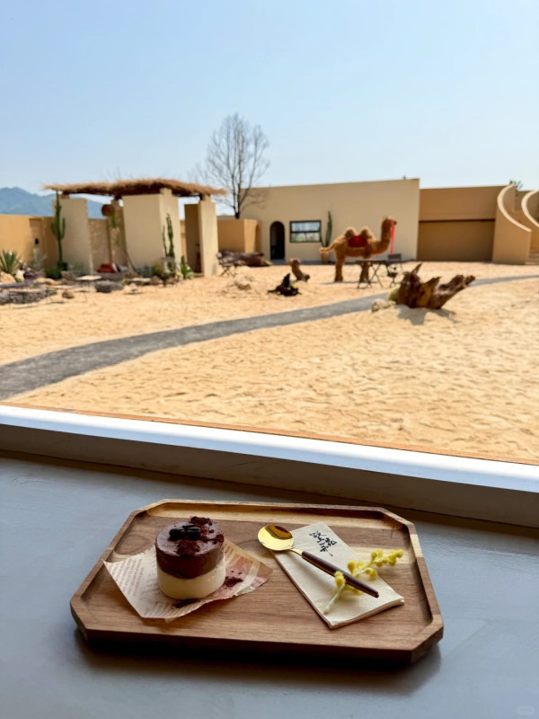 深圳打卡Cafe|漠上花開天台沙漠綠洲!駱駝/仙人掌打卡位營造摩洛哥異域風 套餐含服飾租借