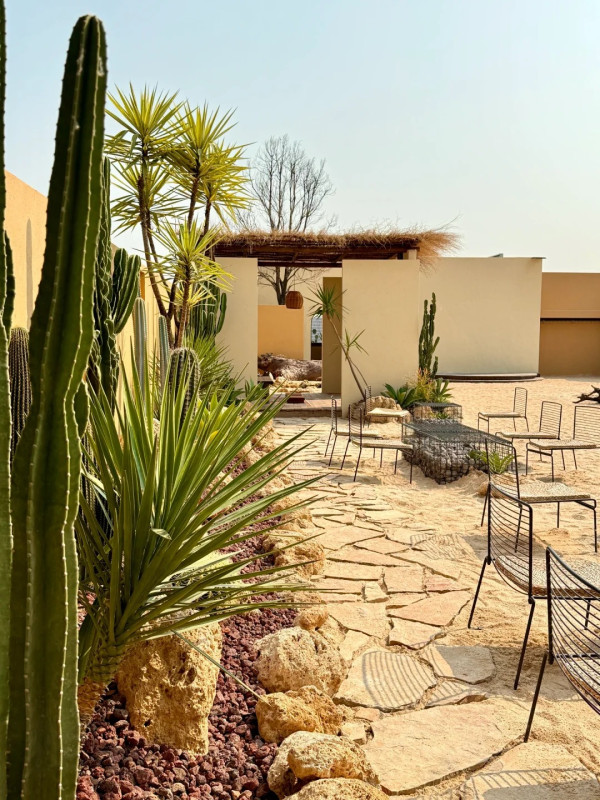 深圳打卡Cafe|漠上花開天台沙漠綠洲!駱駝/仙人掌打卡位營造摩洛哥異域風 套餐含服飾租借