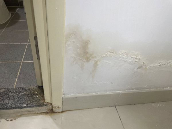 天水圍公屋牆身每晚準時滲水！入住僅2個月出問題！房署上門檢查竟指睇唔到？