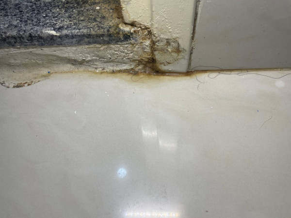 天水圍公屋牆身每晚準時滲水！入住僅2個月出問題！房署上門檢查竟指睇唔到？