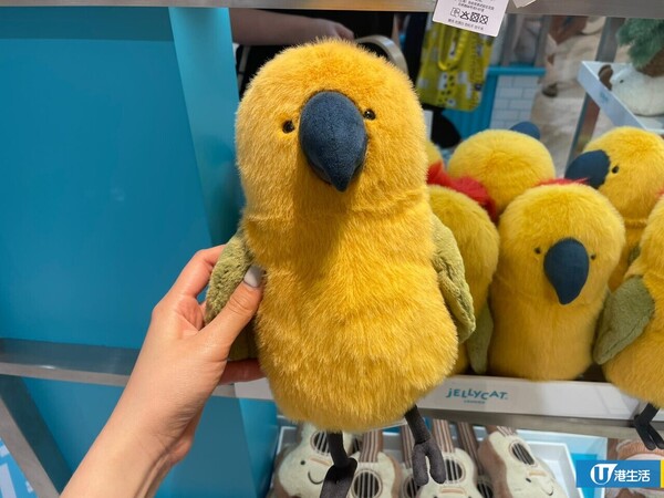 Jellycat夏季新品登場！11款萌爆公仔全新夏日椰子樹／椰青水