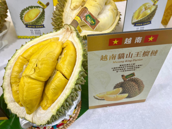 惠康逾15款泰國/馬來西亞/越南頂級榴槤 多款珍稀榴槤品種/泰國皇室御果/貓山王!  全新品種直送香港!