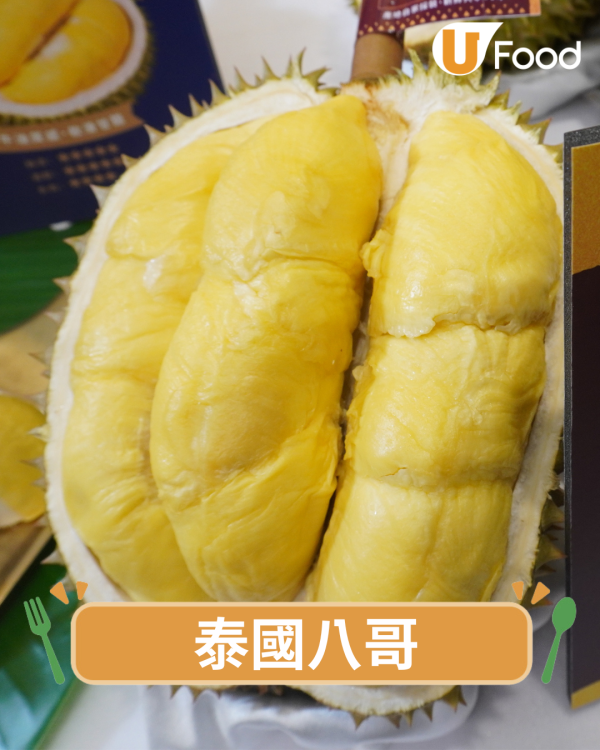 【榴槤品種】逾28款榴槤品種大公開 教你秒速揀出極品榴槤