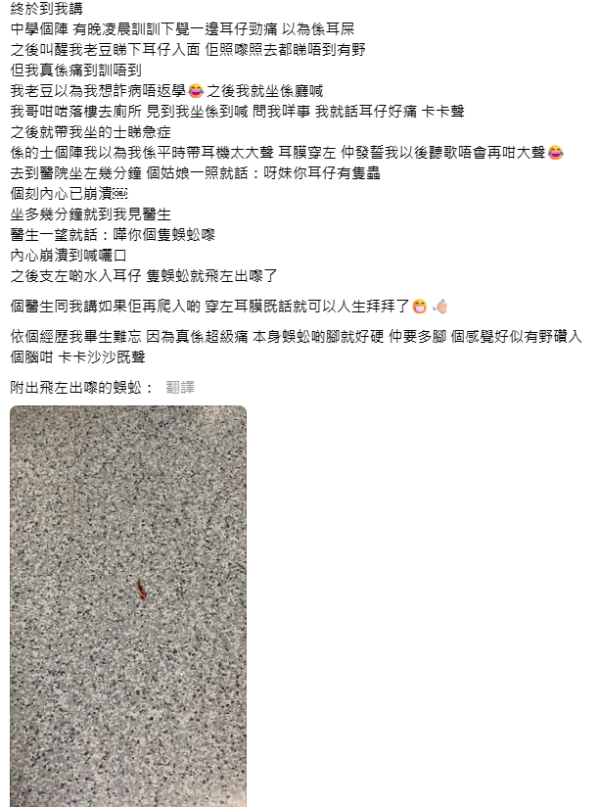 （圖片來源︰Threads@hailey.ee_）