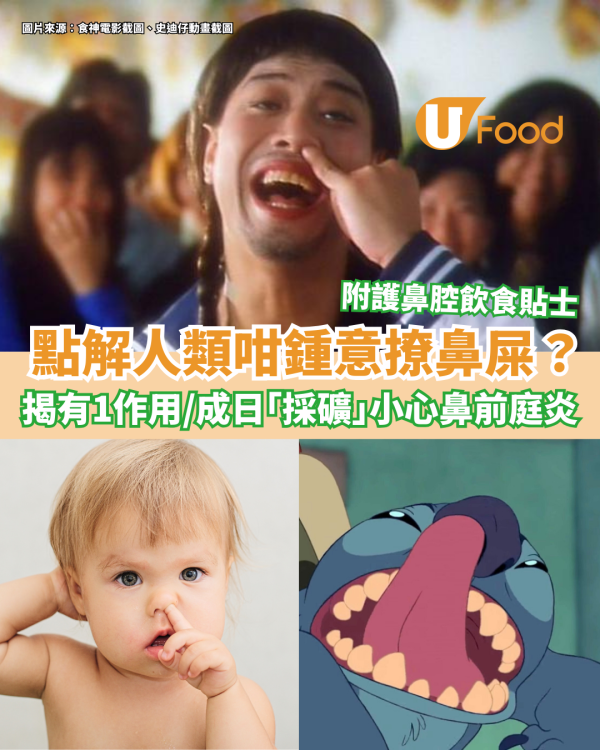 撩鼻屎｜為何人類總是想挖鼻孔？ 揭有1作用／常「採礦」增鼻前庭炎風險 附保護鼻腔飲食貼士