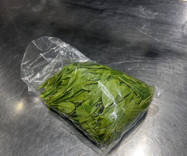 日女帶新鮮茶葉搭飛機被當一種違禁品 網民留言:看起來的確很可疑...