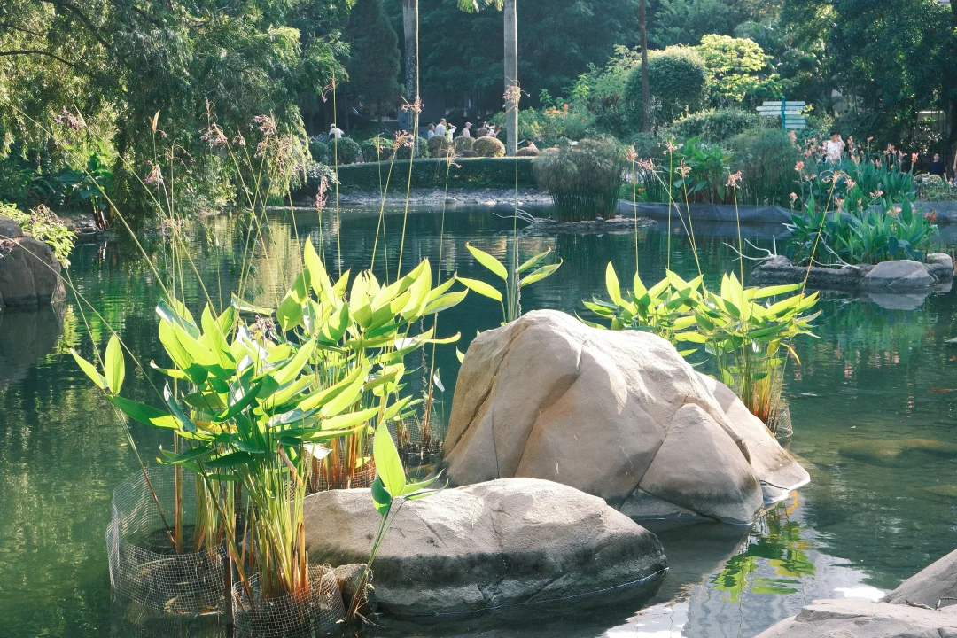 香港公園隱世打卡位！小紅書力推「童話森林」影相秘境附地址詳情
