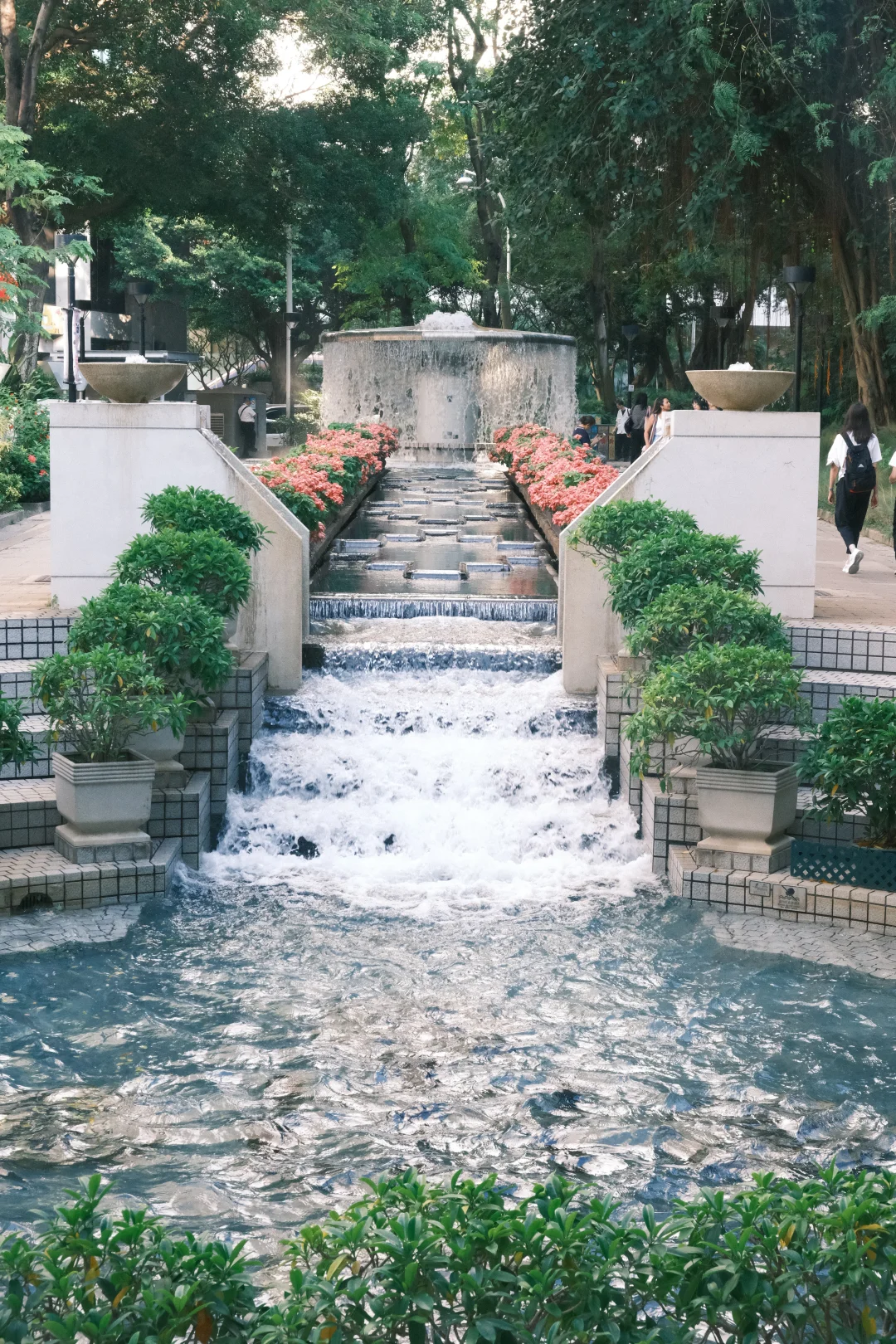 香港公園隱世打卡位！小紅書力推「童話森林」影相秘境附地址詳情