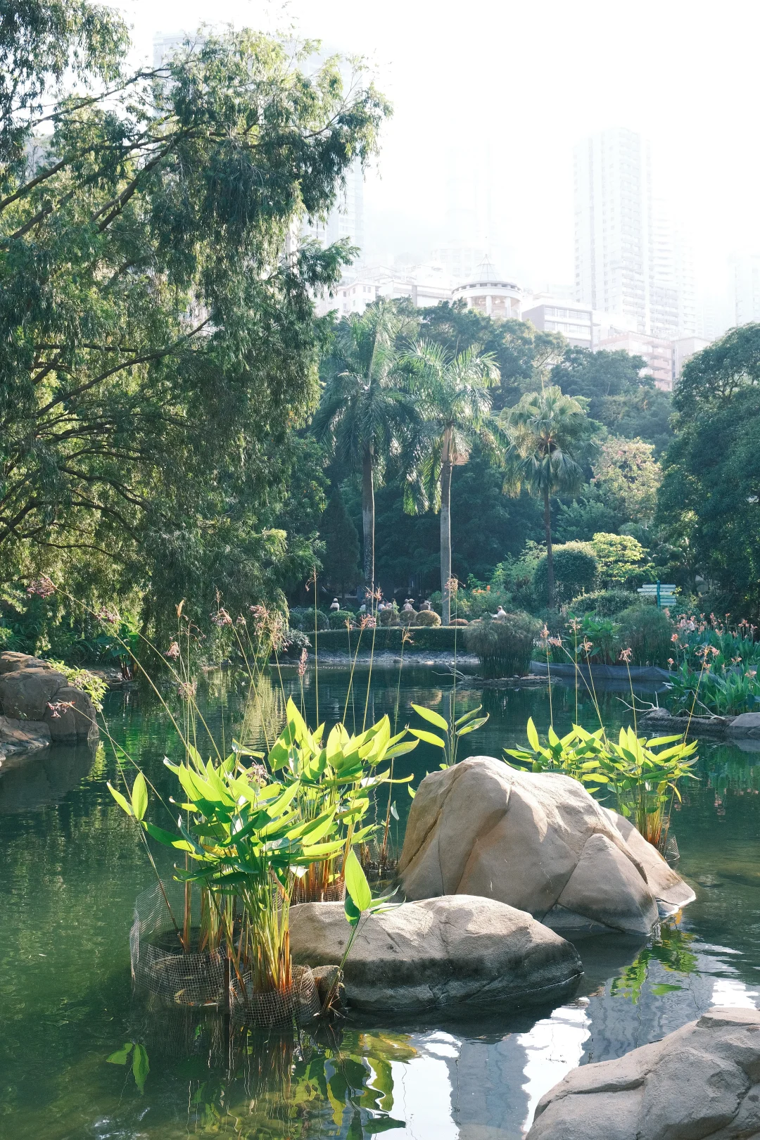 香港公園隱世打卡位！小紅書力推「童話森林」影相秘境附地址詳情
