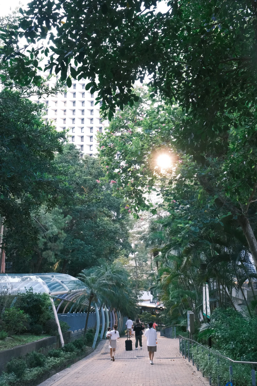 內地網民力推香港公園隱世打卡位！ 「童話森林」瀑布影相靚位 附地址詳情 