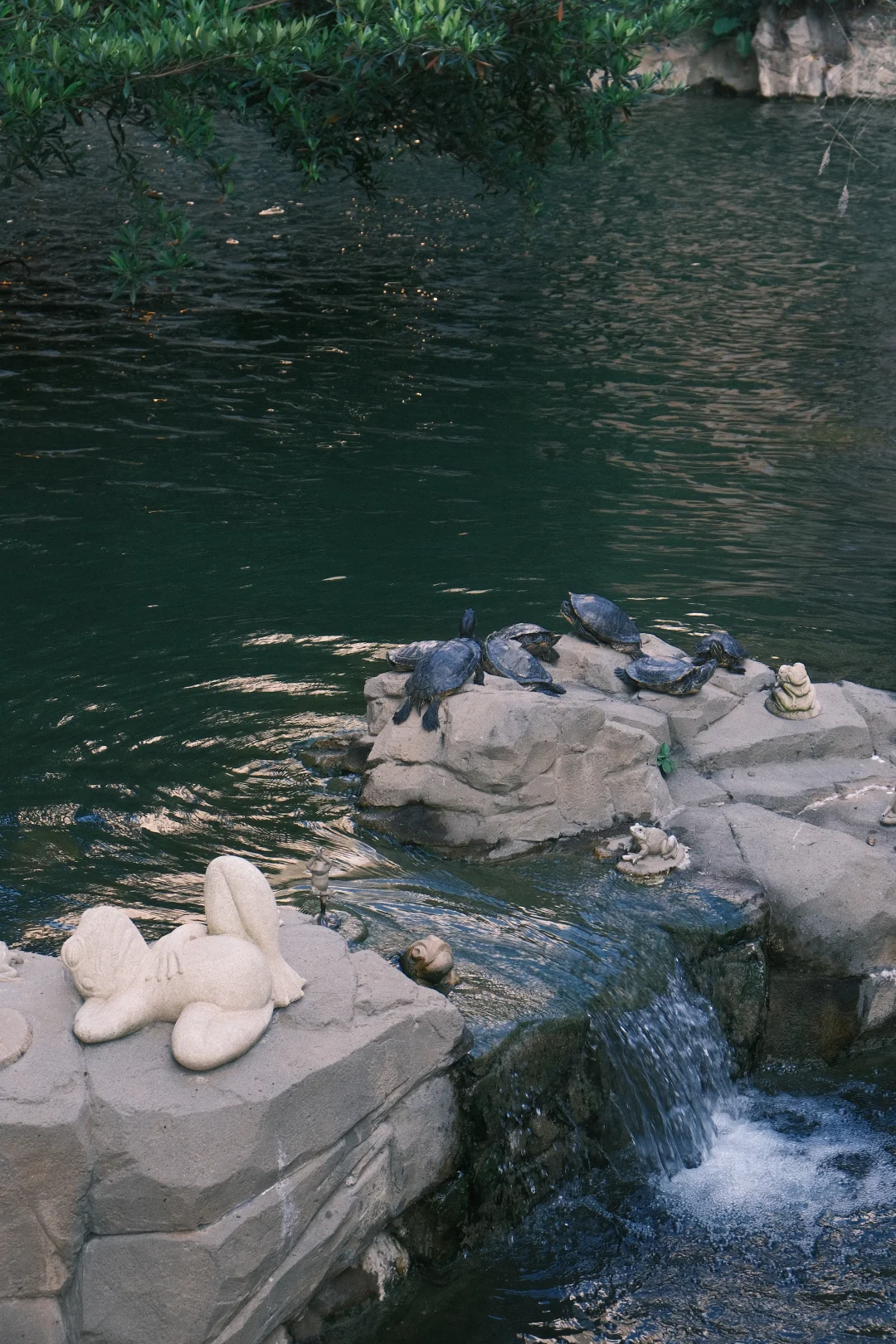 內地網民力推香港公園隱世打卡位！ 「童話森林」瀑布影相靚位 附地址詳情 