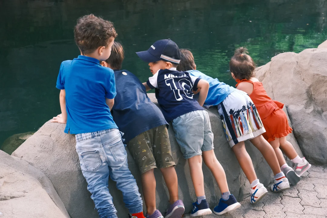 內地網民力推香港公園隱世打卡位！ 「童話森林」瀑布影相靚位 附地址詳情 