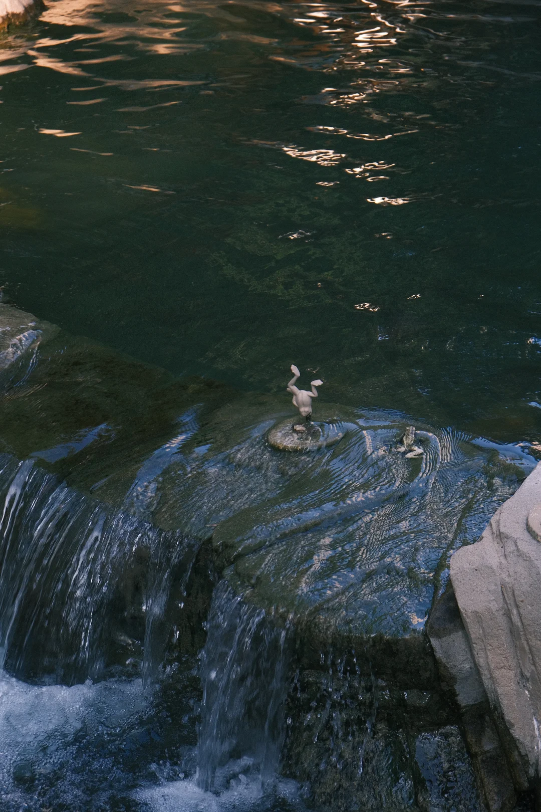 內地網民力推香港公園隱世打卡位！ 「童話森林」瀑布影相靚位 附地址詳情 
