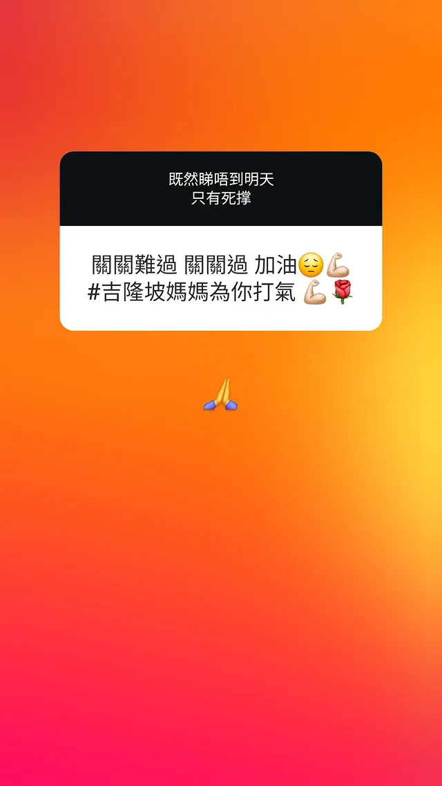 張致恒老婆雯雯IG倒數一家六口出街瞓 30個連環post絕境求助：有冇人有紙皮箱