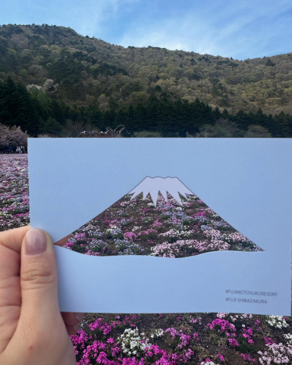 飛關東睇芝櫻祭富士山前打卡！前TVB主播李穎琳分享產後首個旅行 