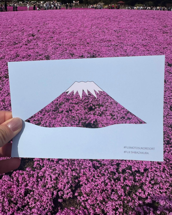 飛關東睇芝櫻祭富士山前打卡！前TVB主播李穎琳分享產後首個旅行 