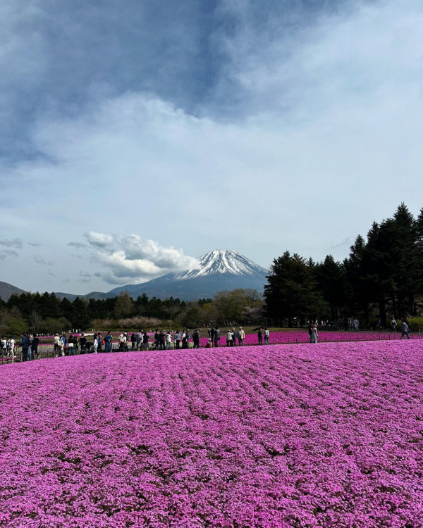 飛關東睇芝櫻祭富士山前打卡！前TVB主播李穎琳分享產後首個旅行 