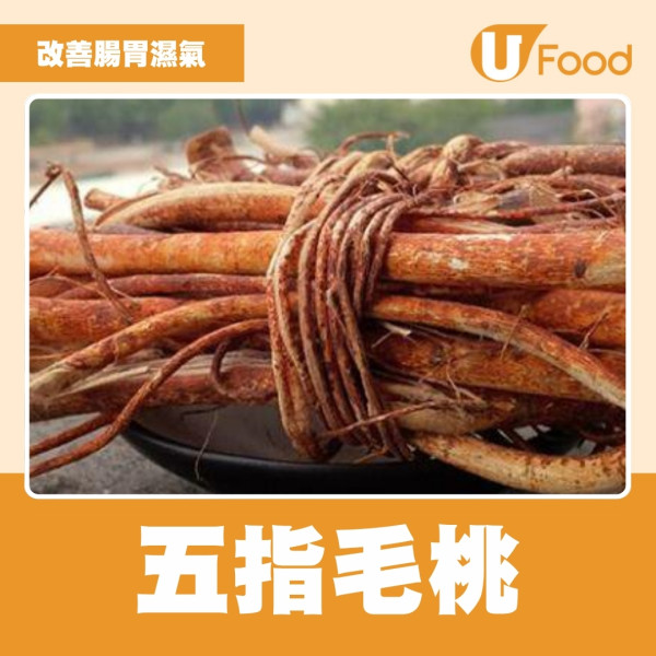 小滿飲食︱多雨濕熱易發濕疹香港腳 改善腸胃濕氣食材+中醫去濕清熱湯水推介