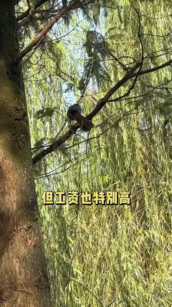 內地客遊港搭的士因1事被收多00 司機駕車離去且不承認 提醒旅客注意「消費陷阱」 