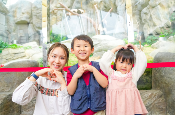 海洋公園全新夏日歷險課程！暑假近距離接觸企鵝/海豹/做大熊貓護理員？