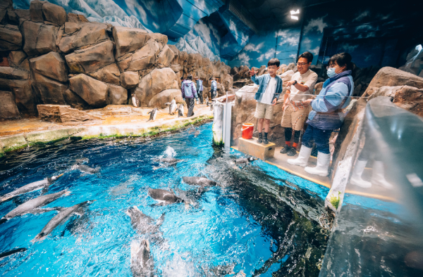 海洋公園全新夏日歷險課程！暑假近距離接觸企鵝/海豹/做大熊貓護理員？