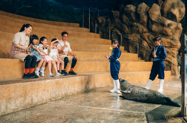 海洋公園全新夏日歷險課程！暑假近距離接觸企鵝/海豹/做大熊貓護理員？