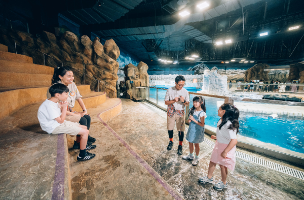 海洋公園全新夏日歷險課程！暑假近距離接觸企鵝/海豹/做大熊貓護理員？