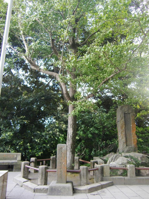 麗星郵輪–探索星號｜台灣日本8日郵輪之旅 玩遍船上設施 暢遊台北/登陸九洲 