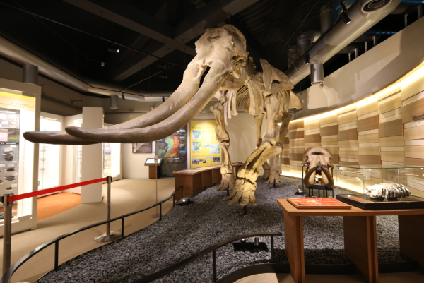 麗星郵輪–探索星號｜台灣日本8日郵輪之旅 玩遍船上設施 暢遊台北/登陸九洲 