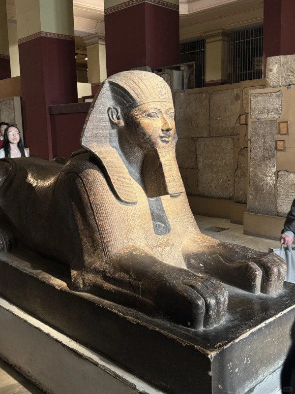 外國廁所這按鈕別亂按 旅客警告後果不堪設想!多位網民曾中招:非常後悔