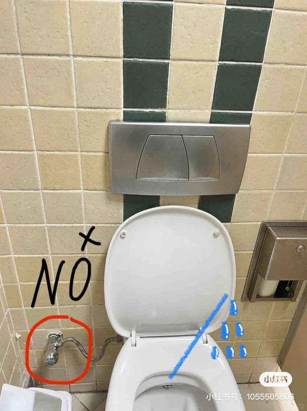 外國廁所這按鈕別亂按 旅客警告後果不堪設想!多位網民曾中招:非常後悔