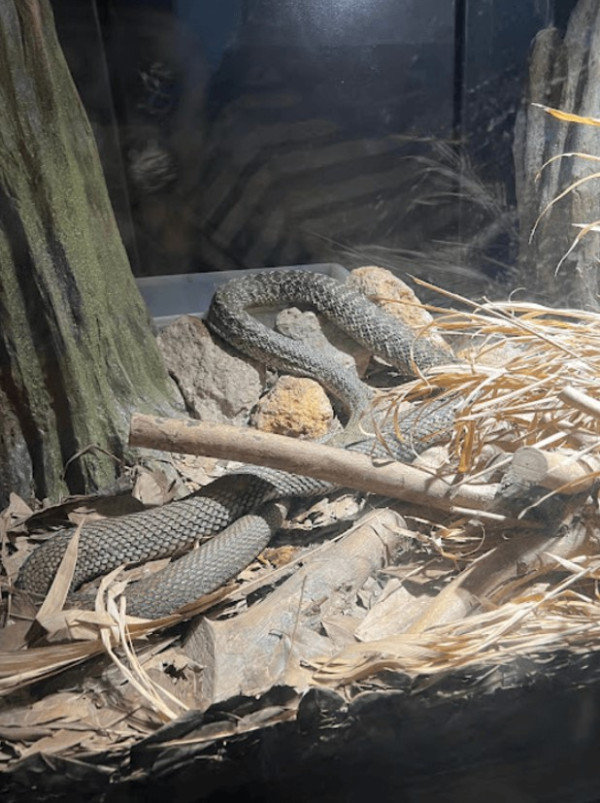 沖繩親子遊全攻略 | 必吃餐廳/掃街美食/兒童王國