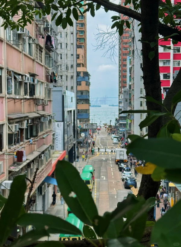 來港旅遊直言失望？內地女生揭5大文化衝擊 港人反應兩極！