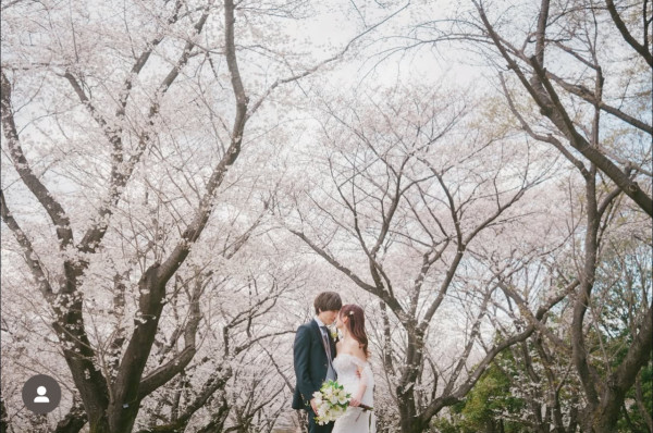 34歲女藝人無預警宣布結婚喜訊 唯美和服婚照曝光：今後的日子請多多指教