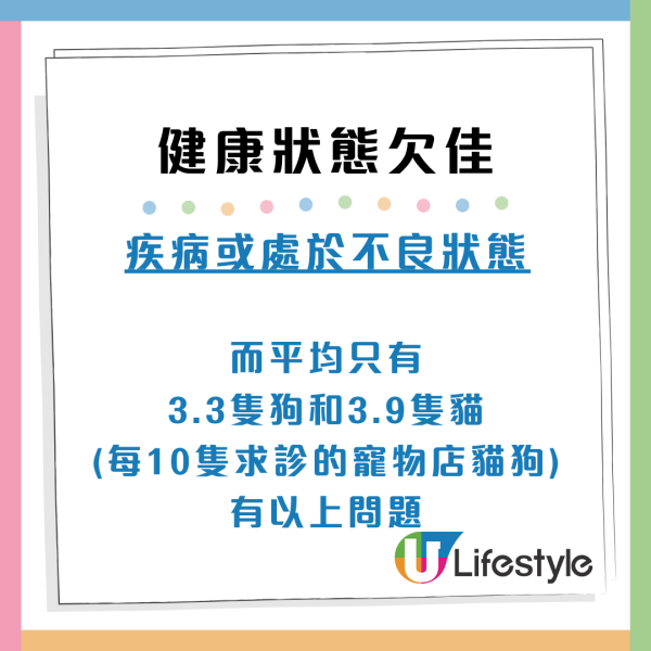 【消委會網購寵物】上網買寵物小心釣魚詐騙！健康差無晶片比較實體店有差別