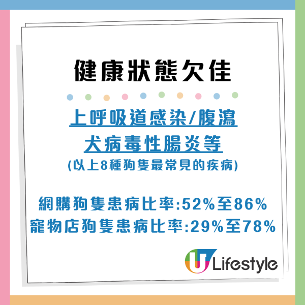 【消委會網購寵物】上網買寵物小心釣魚詐騙！健康差無晶片比較實體店有差別