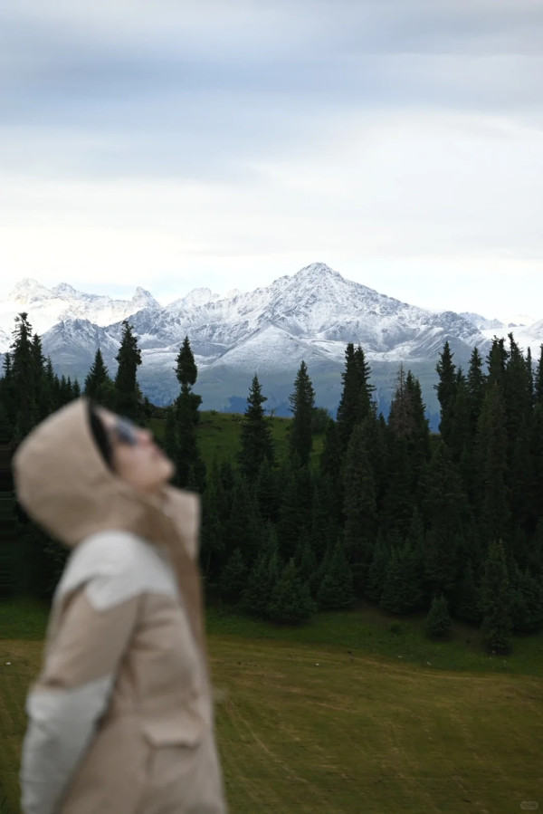 女網友力數獨遊4大好處勸出走 強調人人都做到：不需要解釋原因 