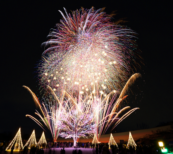 人生必看！日本長岡花火大會照亮黑夜  逾2萬發煙花爆足2小時 