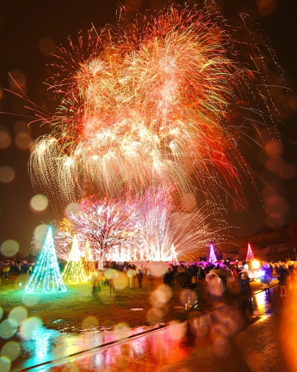 人生必看！日本長岡花火大會照亮黑夜  逾2萬發煙花爆足2小時 