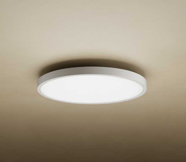 Xiaomi 吸頂燈 D20 原價$229（補貼價後到手$195）