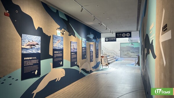 麗星郵輪–探索星號｜台灣日本8日郵輪之旅 玩遍船上設施 暢遊台北/登陸九洲 