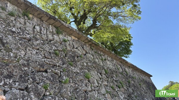 麗星郵輪–探索星號｜台灣日本8日郵輪之旅 玩遍船上設施 暢遊台北/登陸九洲 