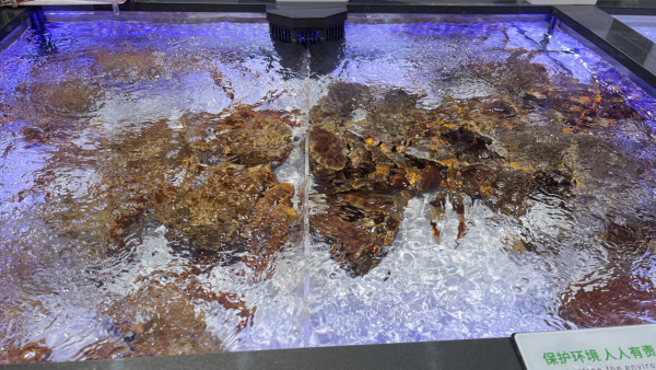 深圳永輝超市進駐iN城市廣場！ 設海鮮加工服務 港人Wechat Pay專屬68蚊優惠！ 