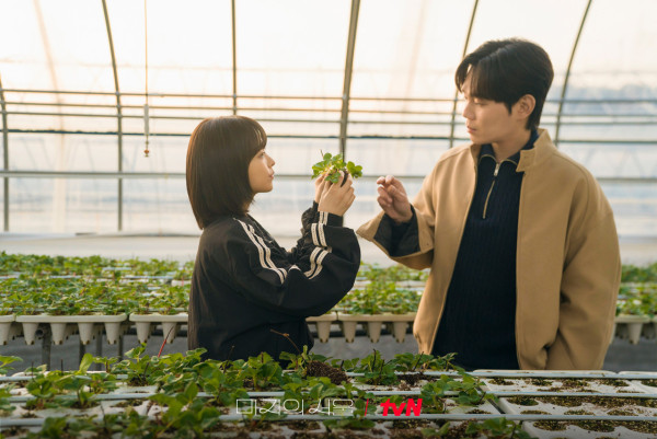 《未知的首爾》Netflix線上看（圖片來源：IG@tvn_drama）